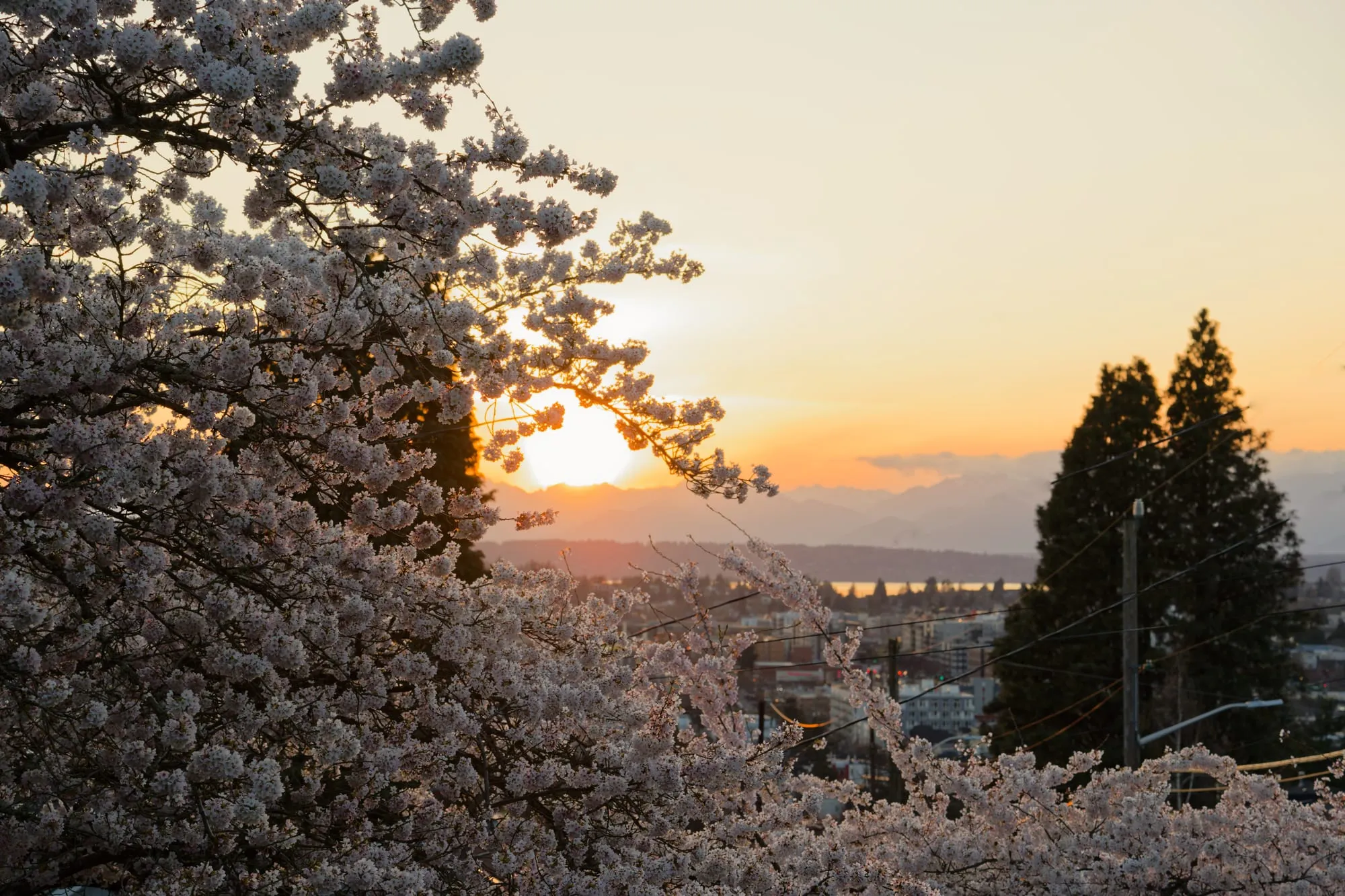 A more expansive vista, with less bokeh